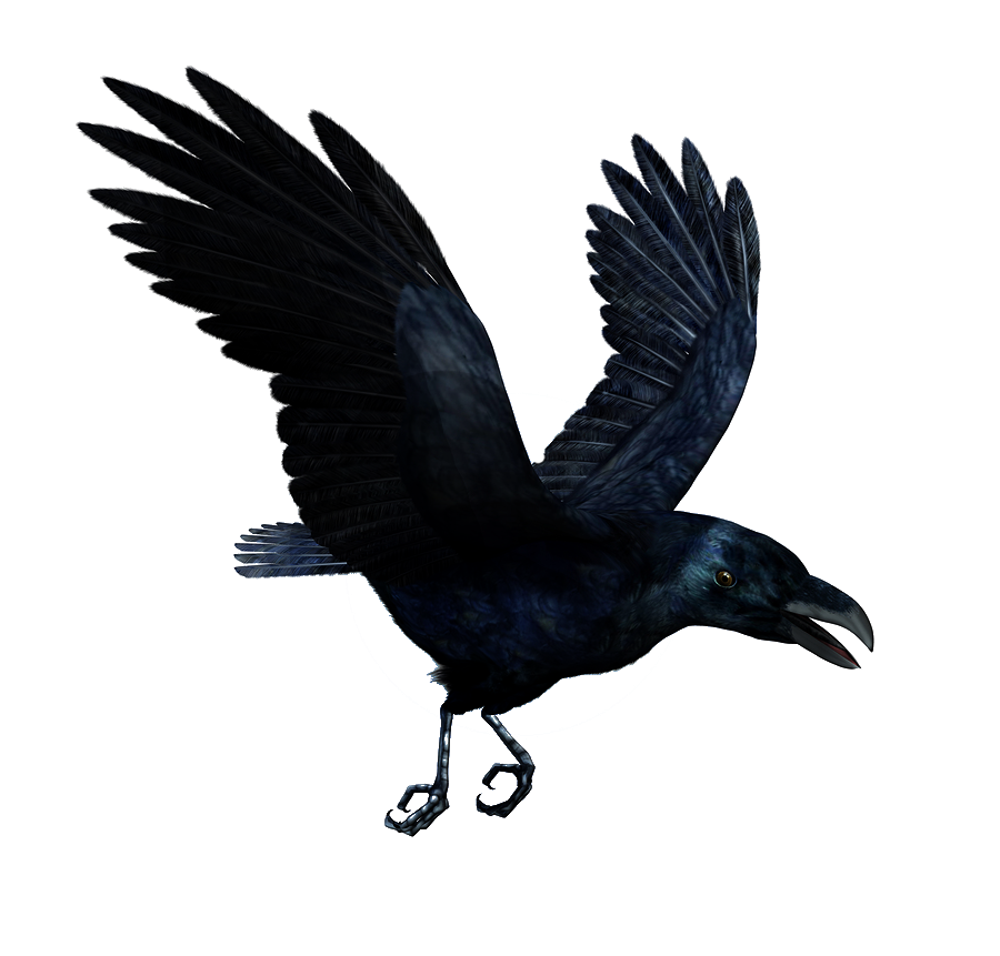 Raven Flying Transparent PNG Image