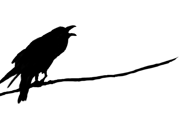 Raven Transparent PNG Image