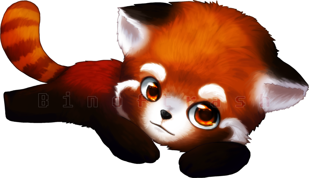 Red Panda Transparent PNG Image
