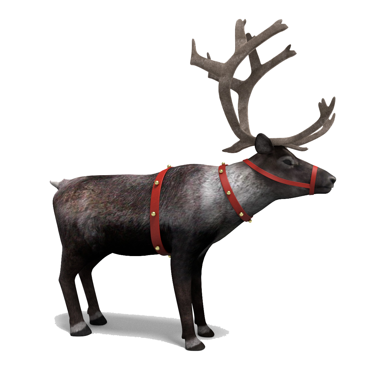 Reindeer Transparent PNG Image
