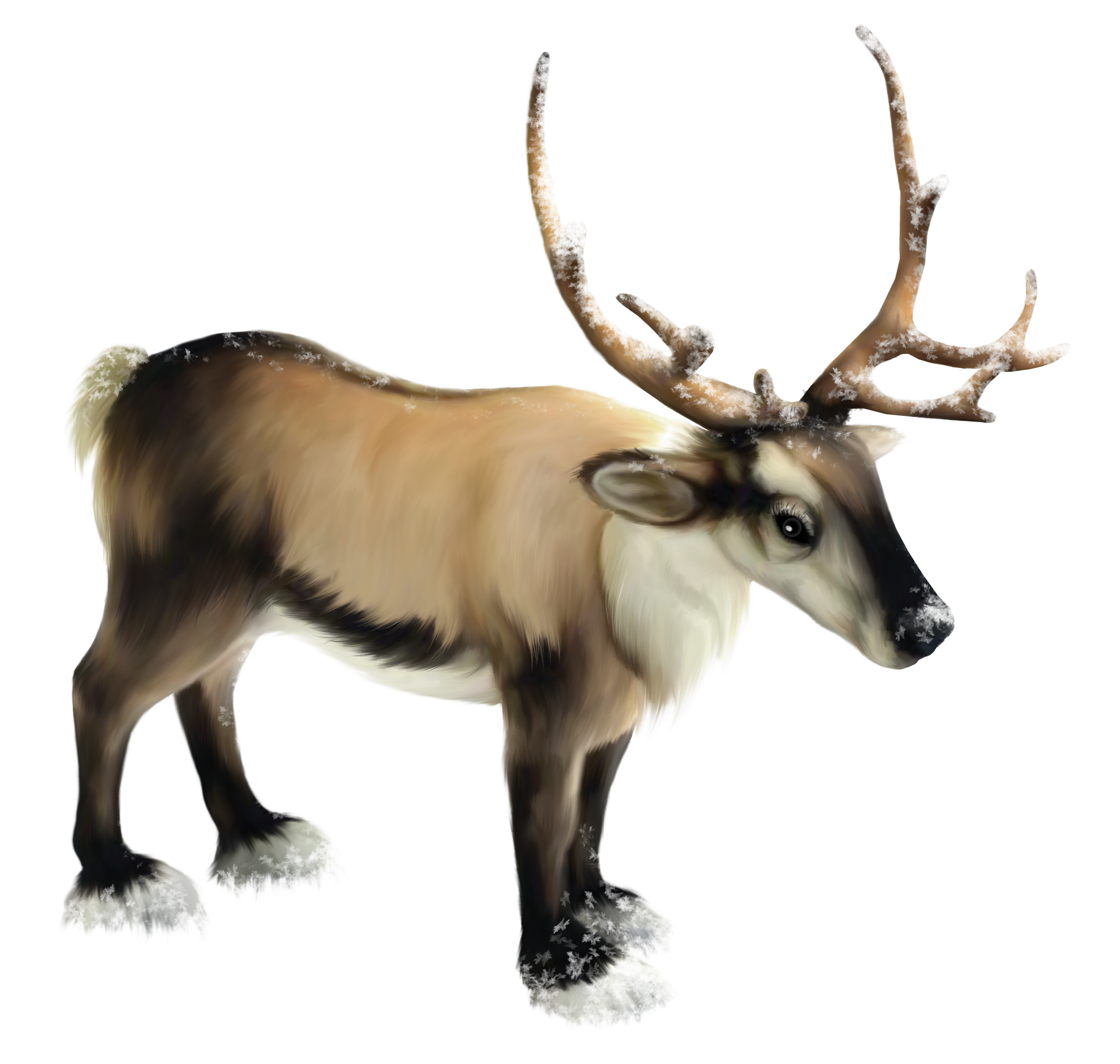 Reindeer Transparent PNG Image