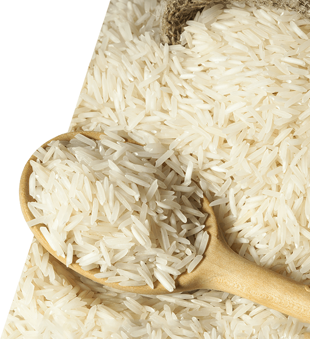 Rice Transparent PNG Image