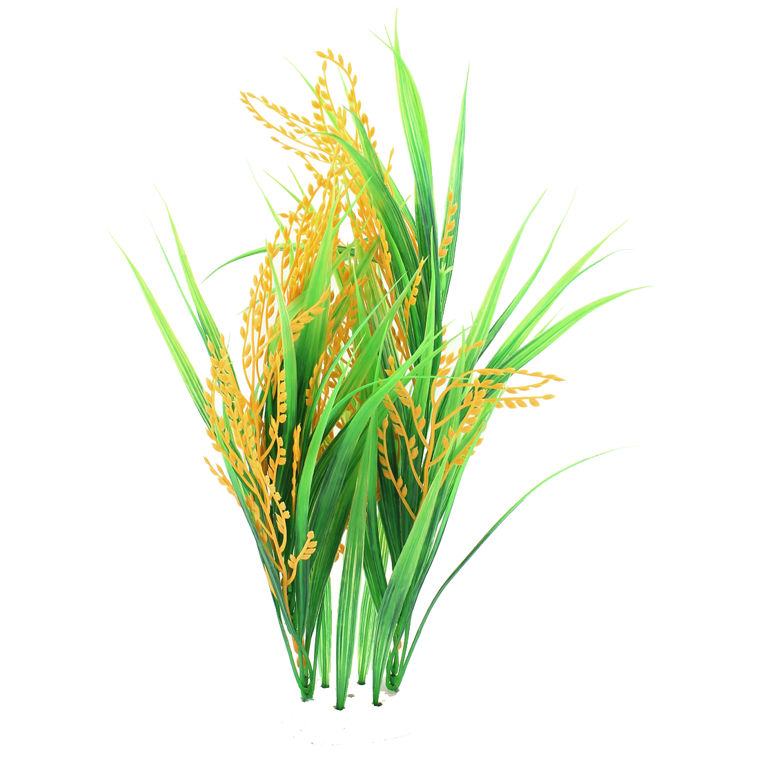 Rice Transparent PNG Image