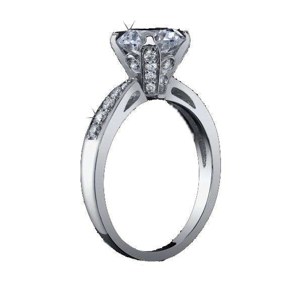 Silver Ring Transparent PNG Image