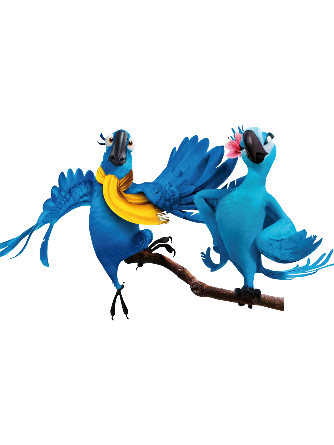 Rio Transparent PNG Image