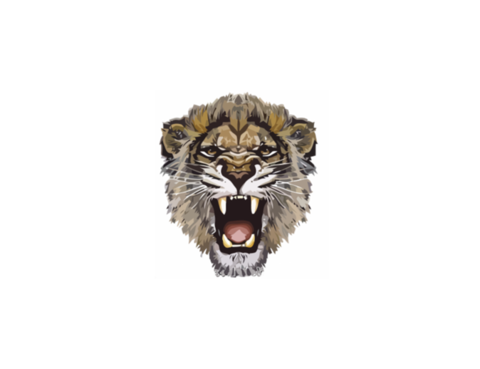 Lioness Roar Transparent PNG Image