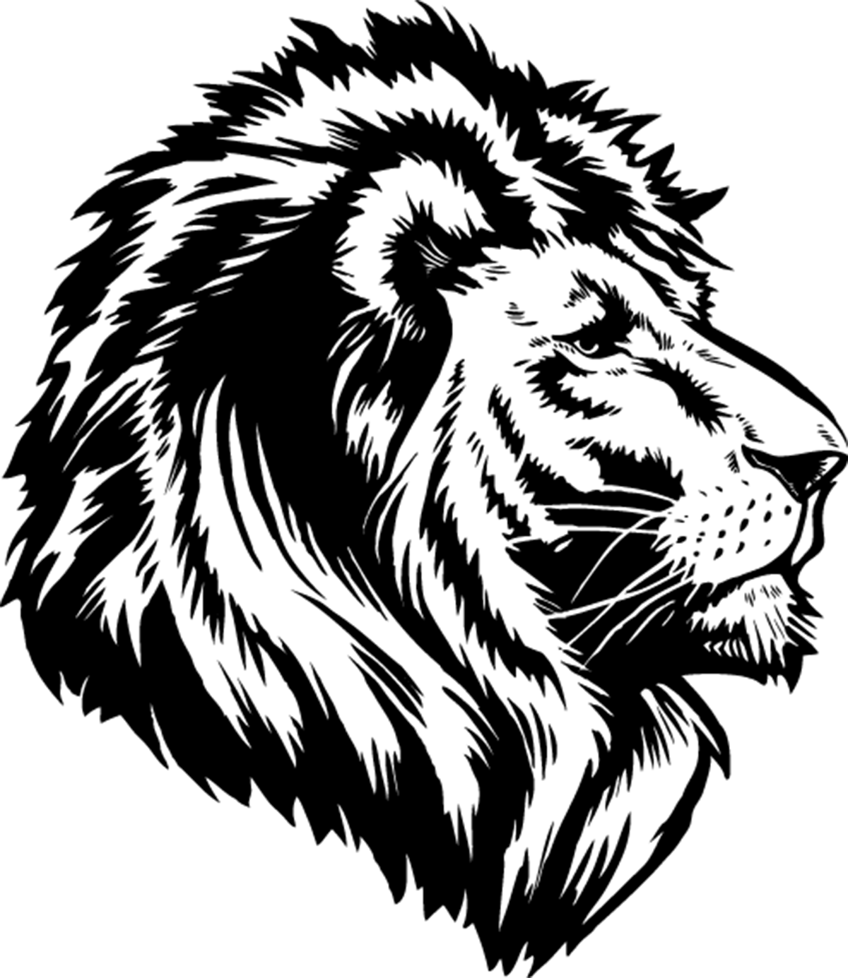 Lioness Roar Transparent PNG Image