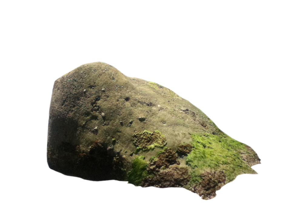 Rock Transparent PNG Image