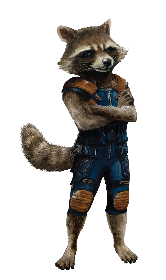 Raccoon Cartoon Rocket Transparent PNG Image