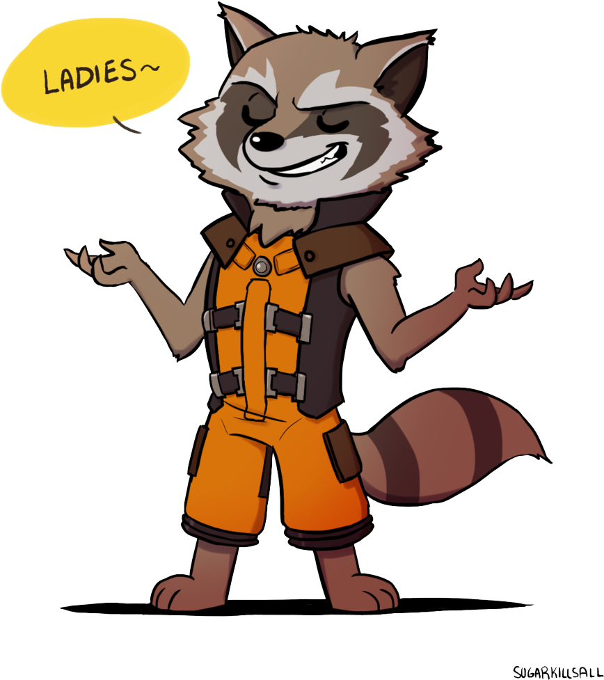 Raccoon Cartoon Rocket Transparent PNG Image