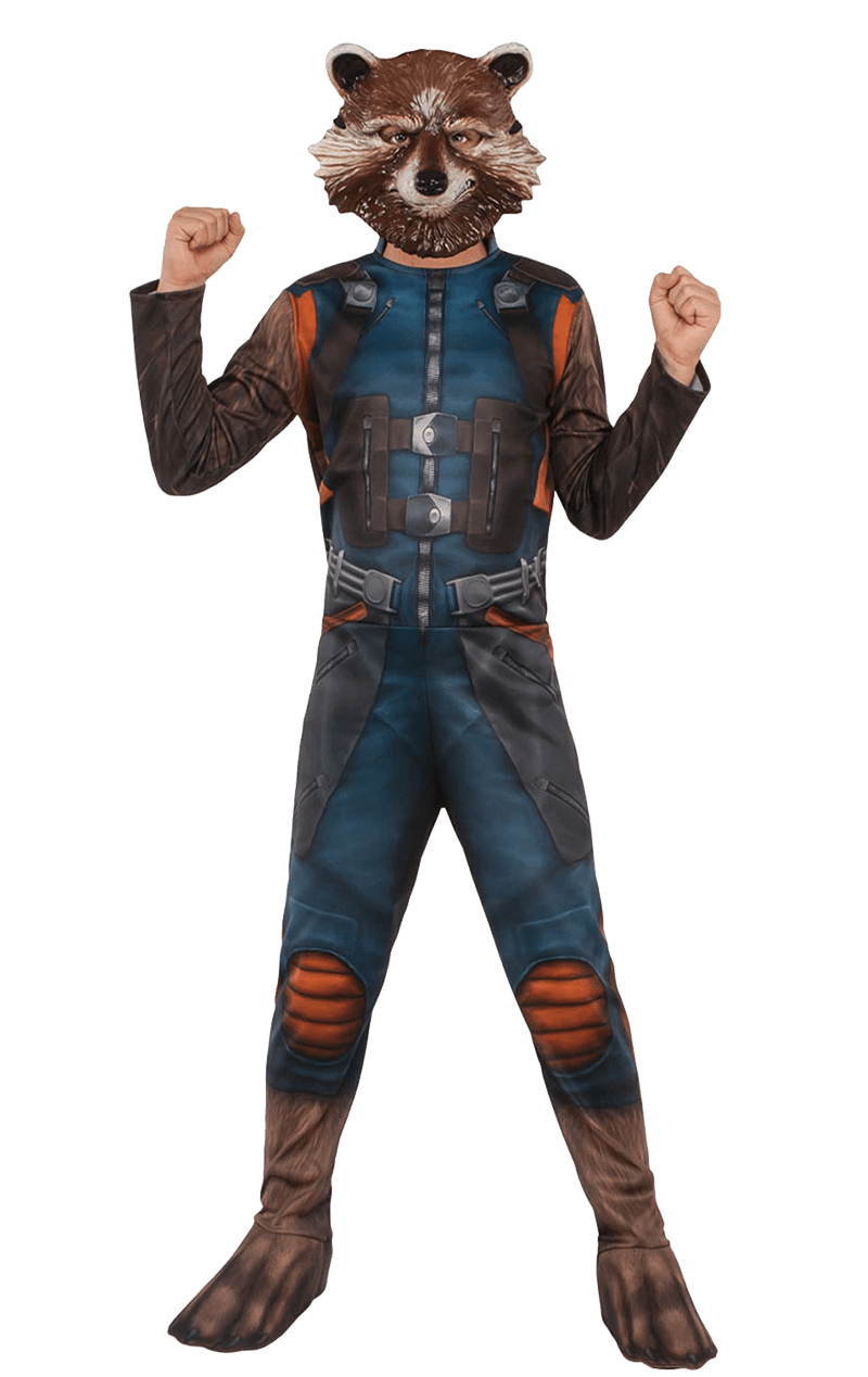 Raccoon Guardian Rocket Transparent PNG Image