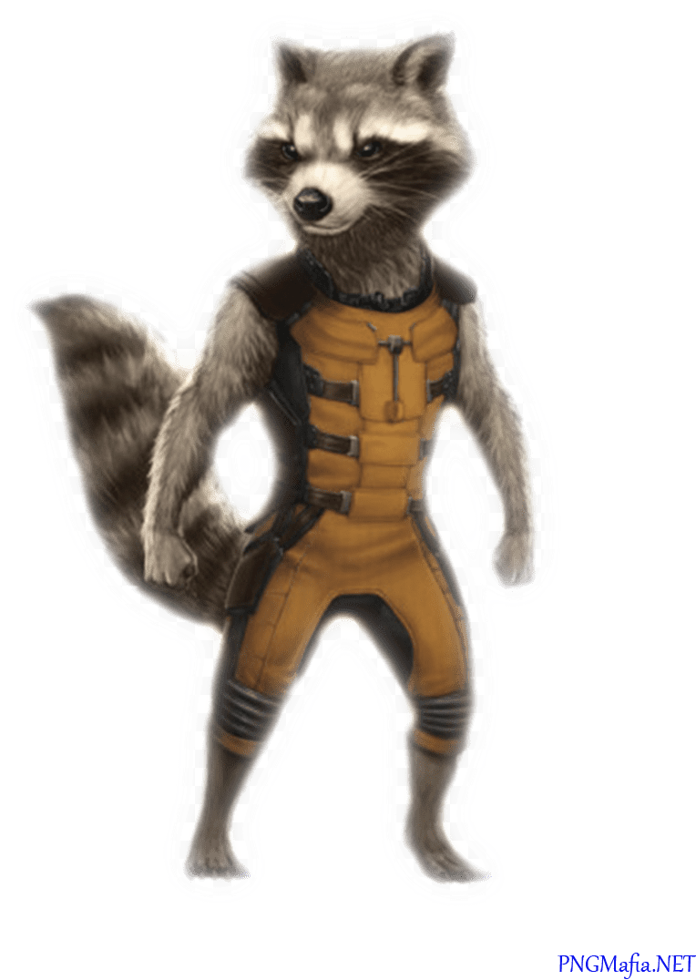 Raccoon Guardian Rocket Transparent PNG Image