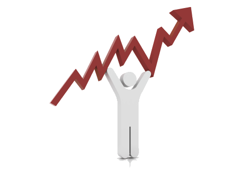 Roi Transparent PNG Image