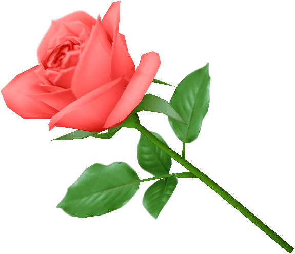 Pink Rose Transparent PNG Image