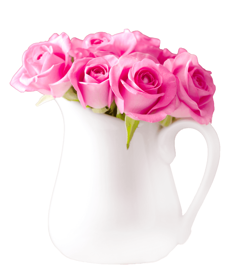 Pink Flower Blossom Rose Bunch Transparent PNG Image