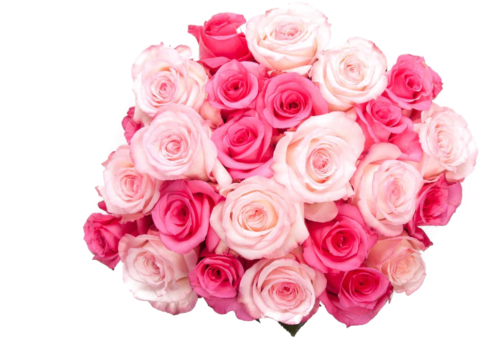 Pink Rose Flower Bunch Transparent PNG Image