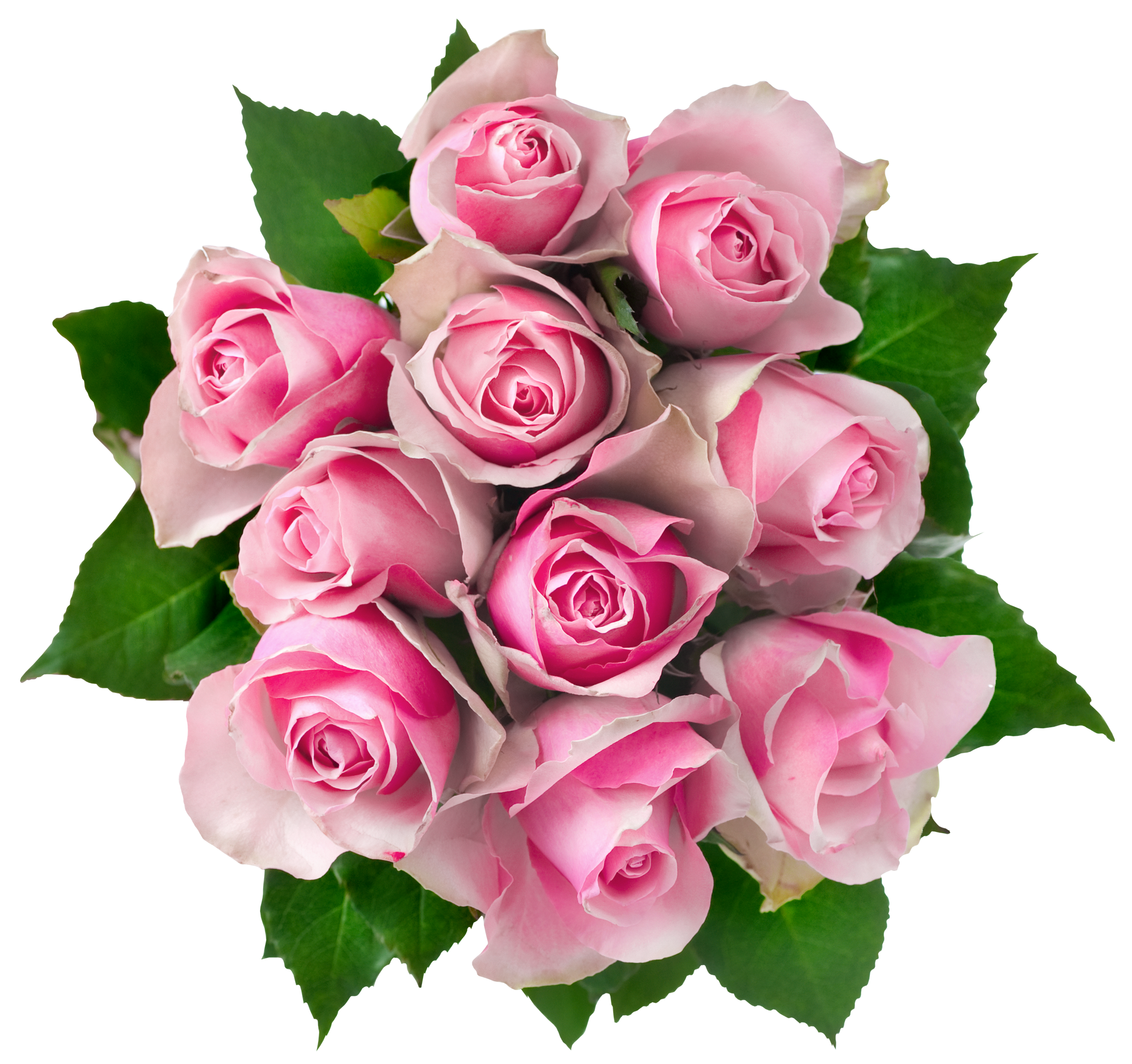 Pink Rose Flower Bunch Transparent PNG Image