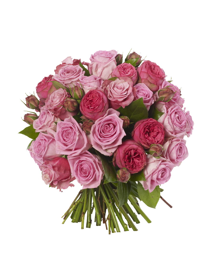 Bouquet Fresh Rose Transparent PNG Image