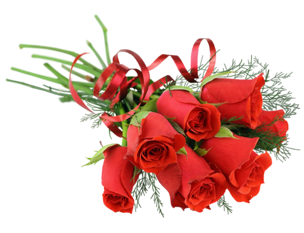 Bouquet Fresh Rose Transparent PNG Image