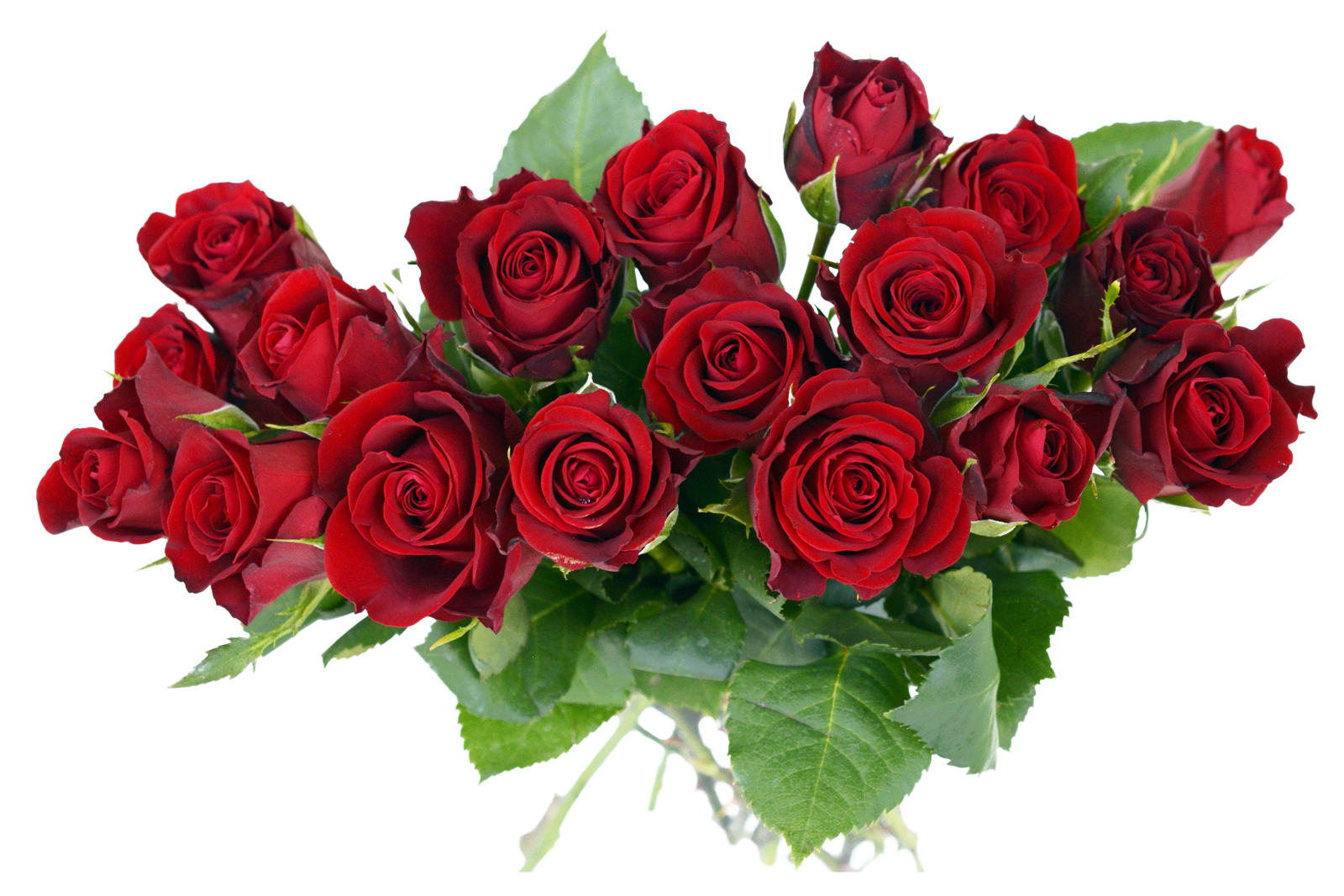 Bouquet Fresh Rose Transparent PNG Image