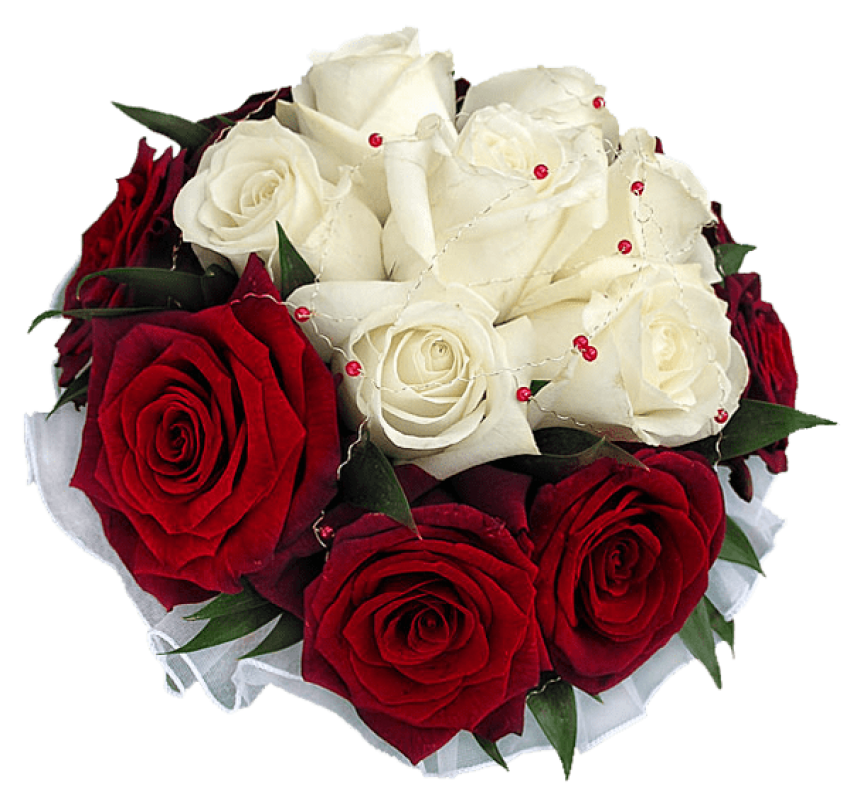 Bouquet Fresh Rose Transparent PNG Image