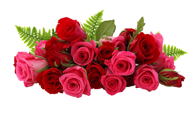 Bouquet Rose Red Transparent PNG Image