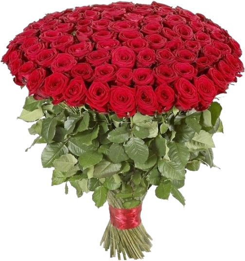 Bouquet Rose Red Transparent PNG Image