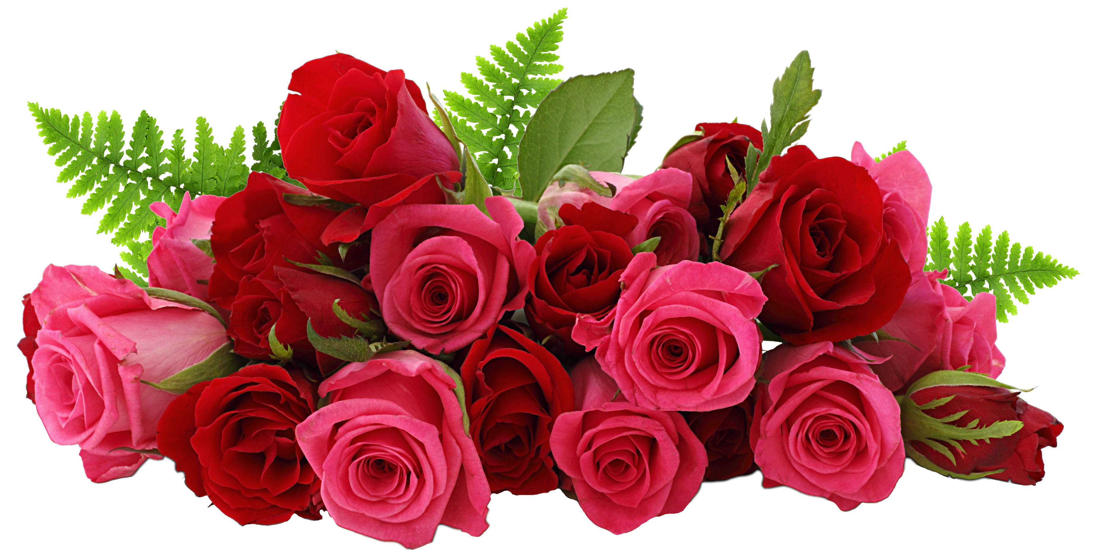 Bouquet Rose Bunch Transparent PNG Image