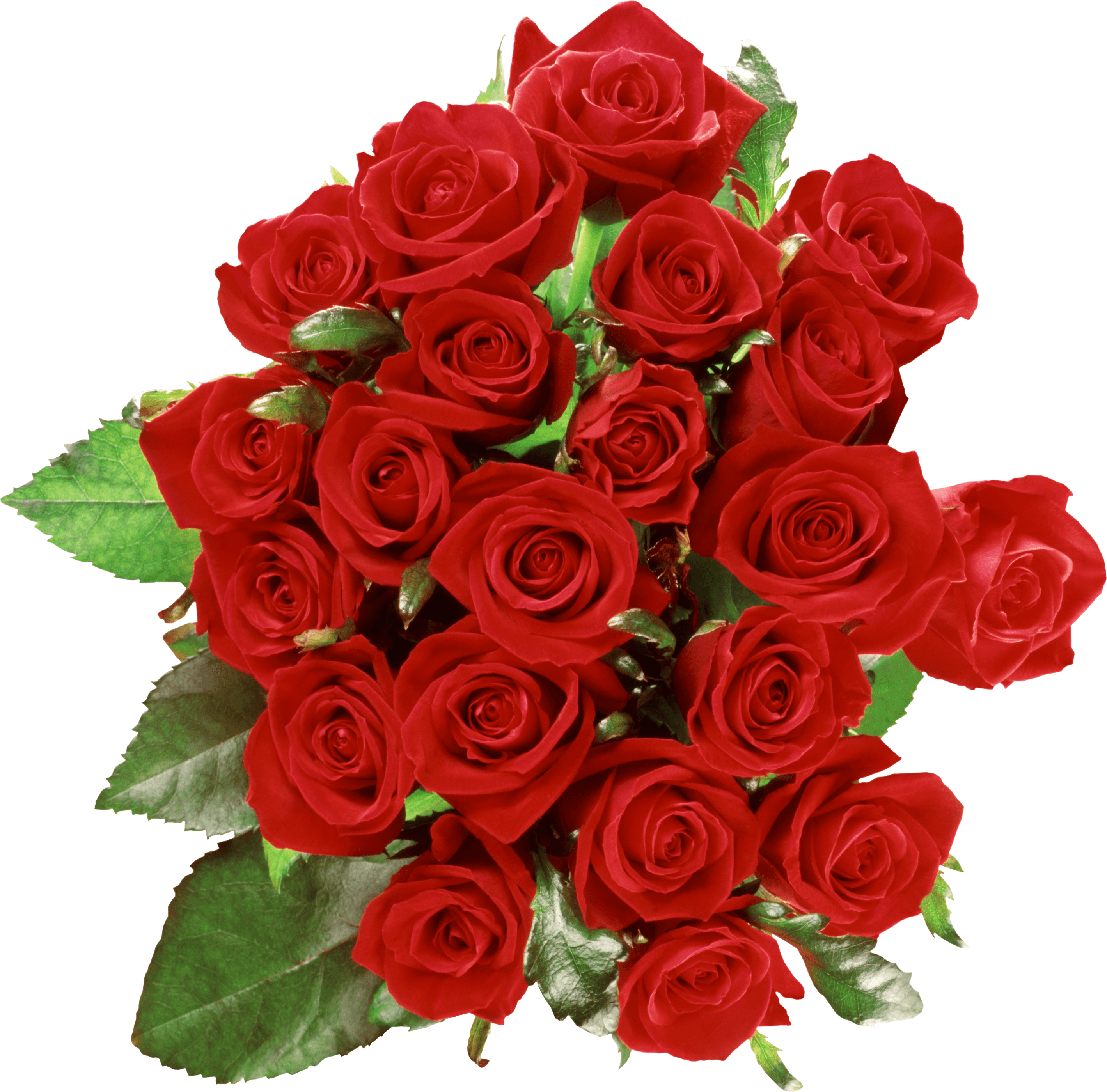 Bouquet Rose Bunch Transparent PNG Image