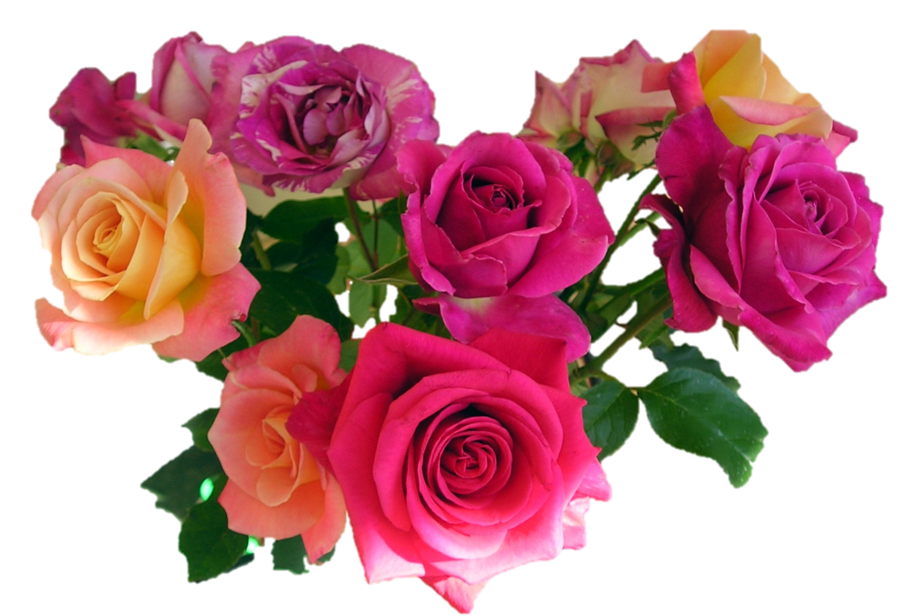 Bouquet Rose Transparent PNG Image