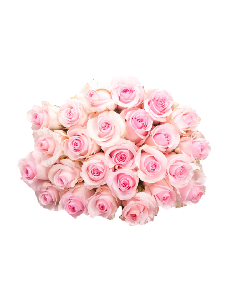 Bouquet Rose Transparent PNG Image