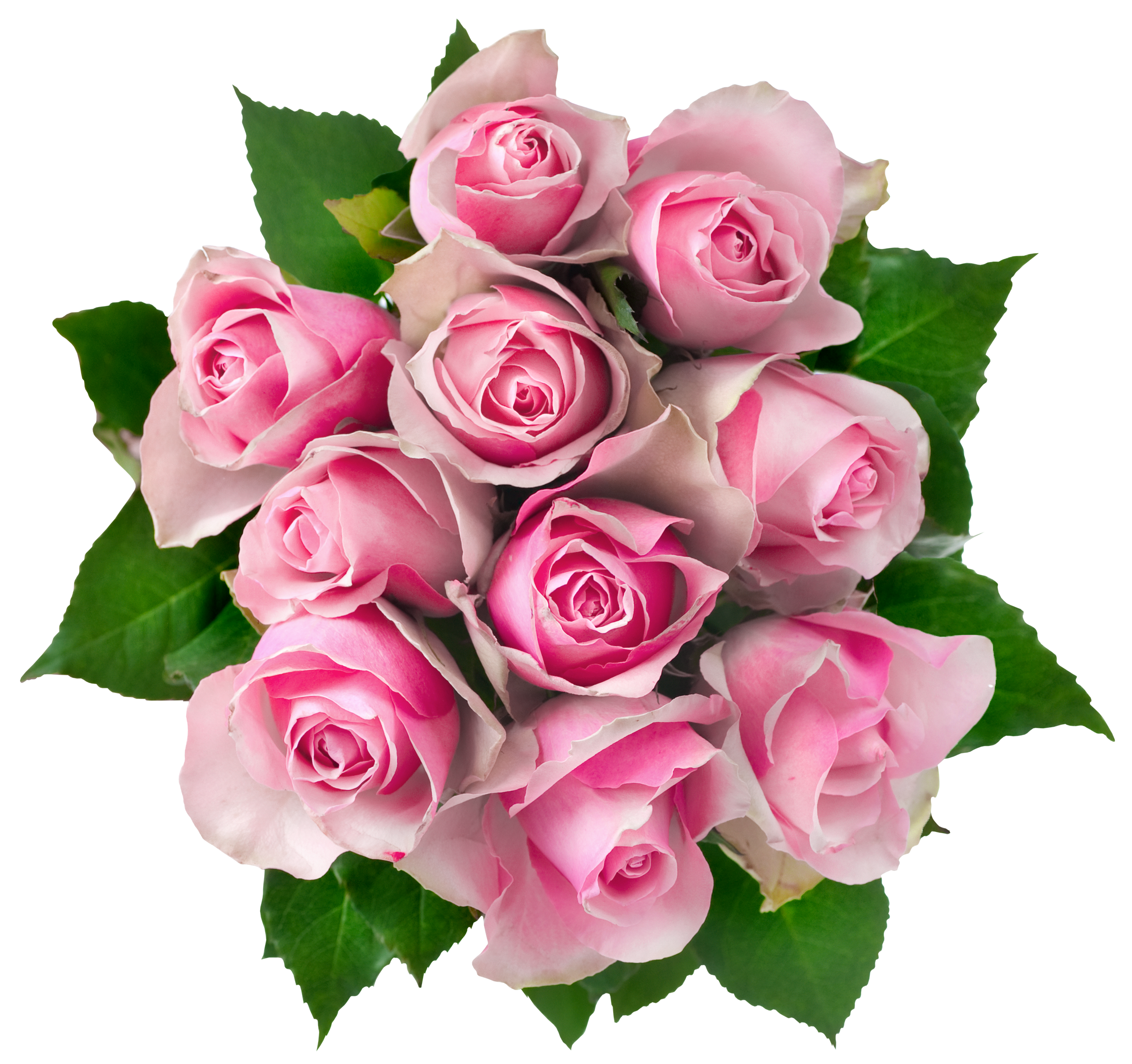 Bouquet Rose Valentine Transparent PNG Image