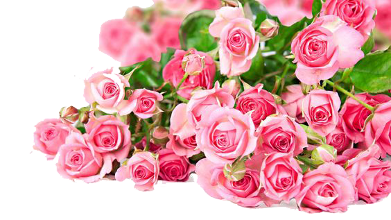 Bouquet Rose Valentine Transparent PNG Image
