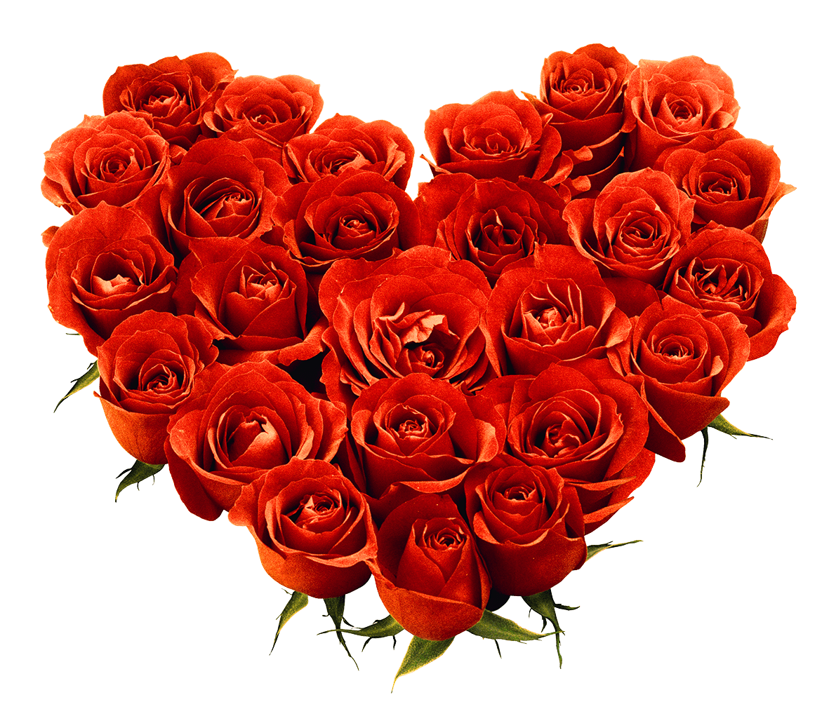 Bouquet Of Roses Transparent PNG Image