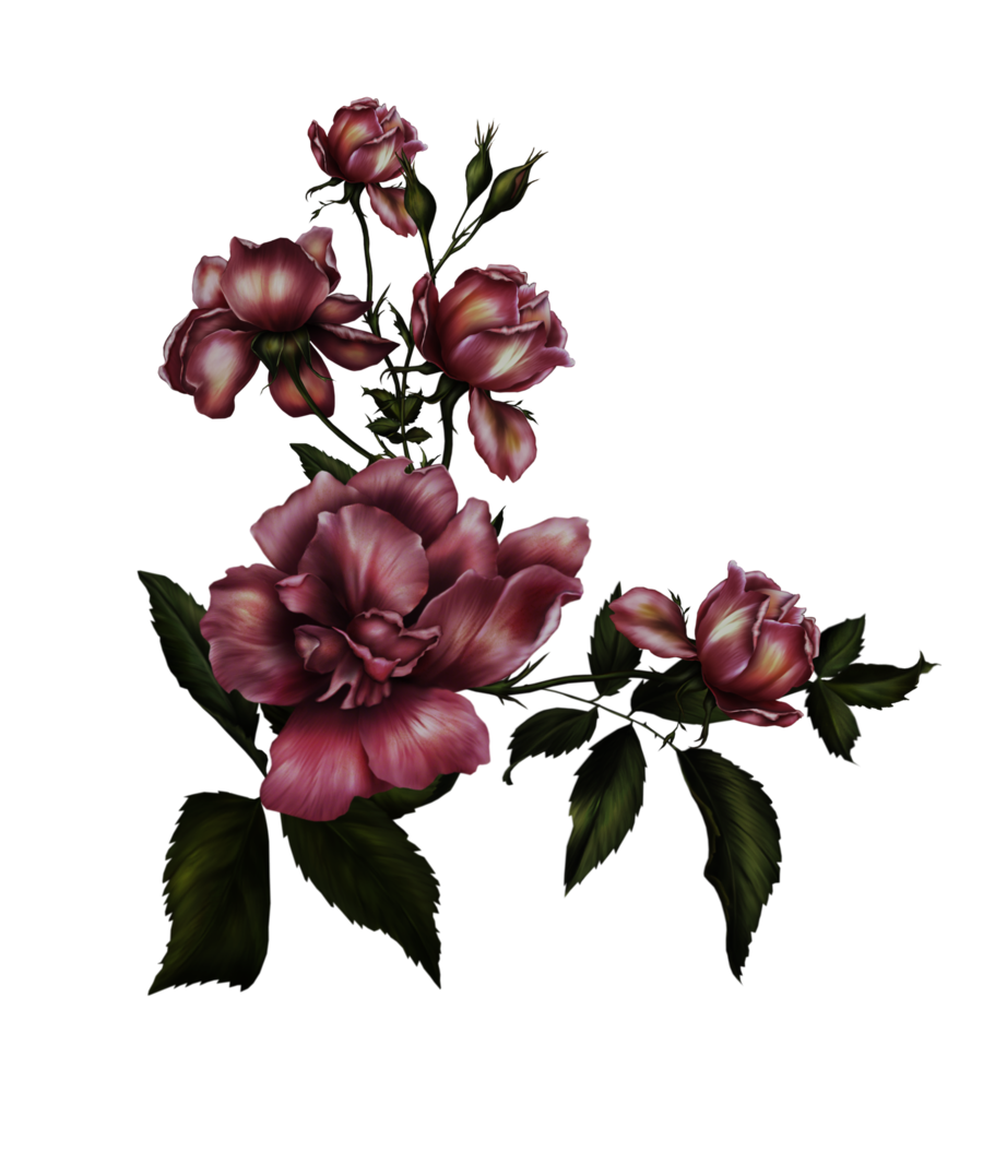 Gothic Rose Background Transparent PNG Image