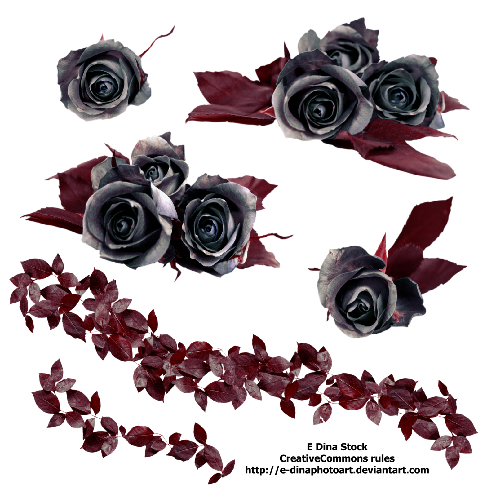 Gothic Rose Transparent PNG Image