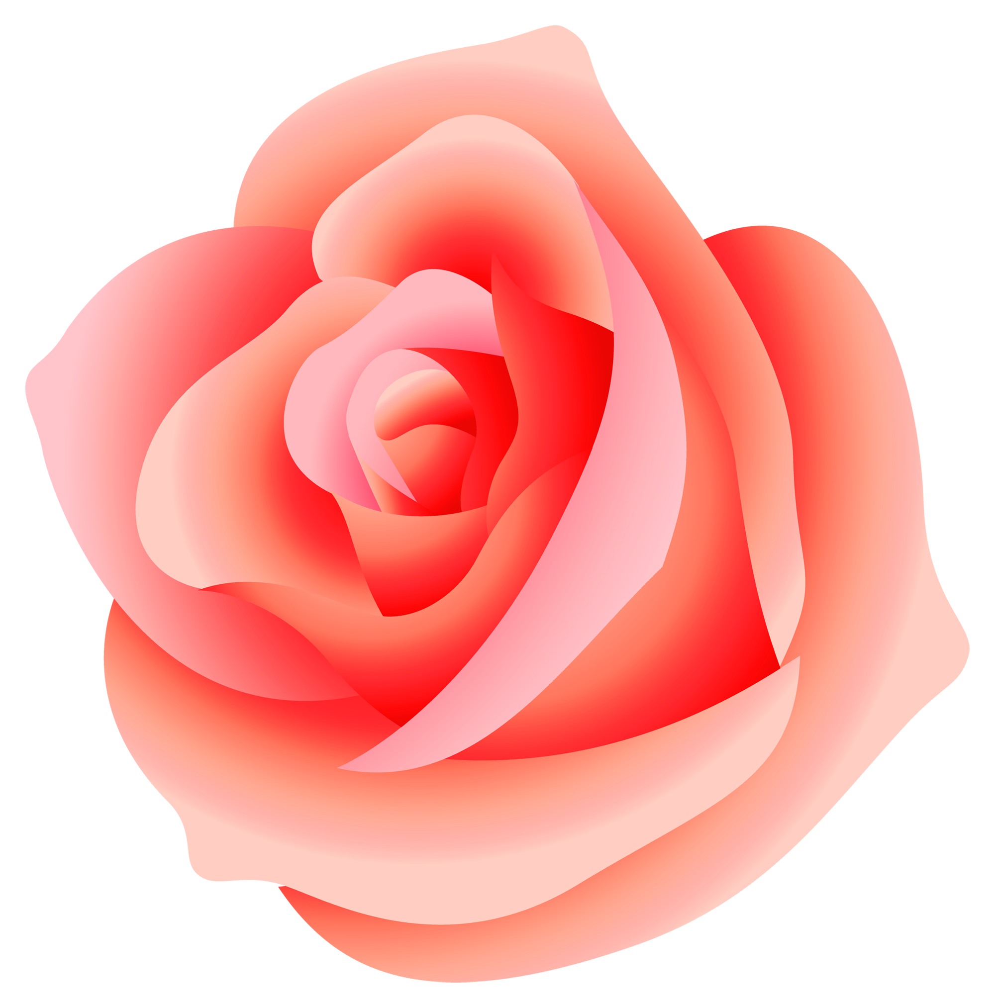 Rose Transparent PNG Image