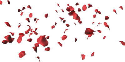 Rose Petals Transparent PNG Image