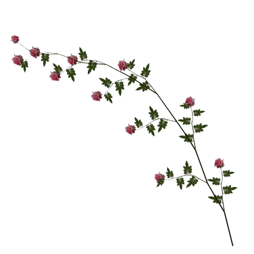 Rose Vine Transparent PNG Image