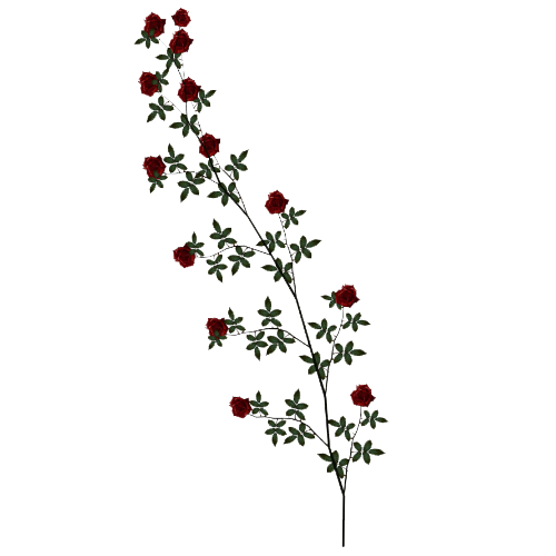 Rose Vine Transparent PNG Image