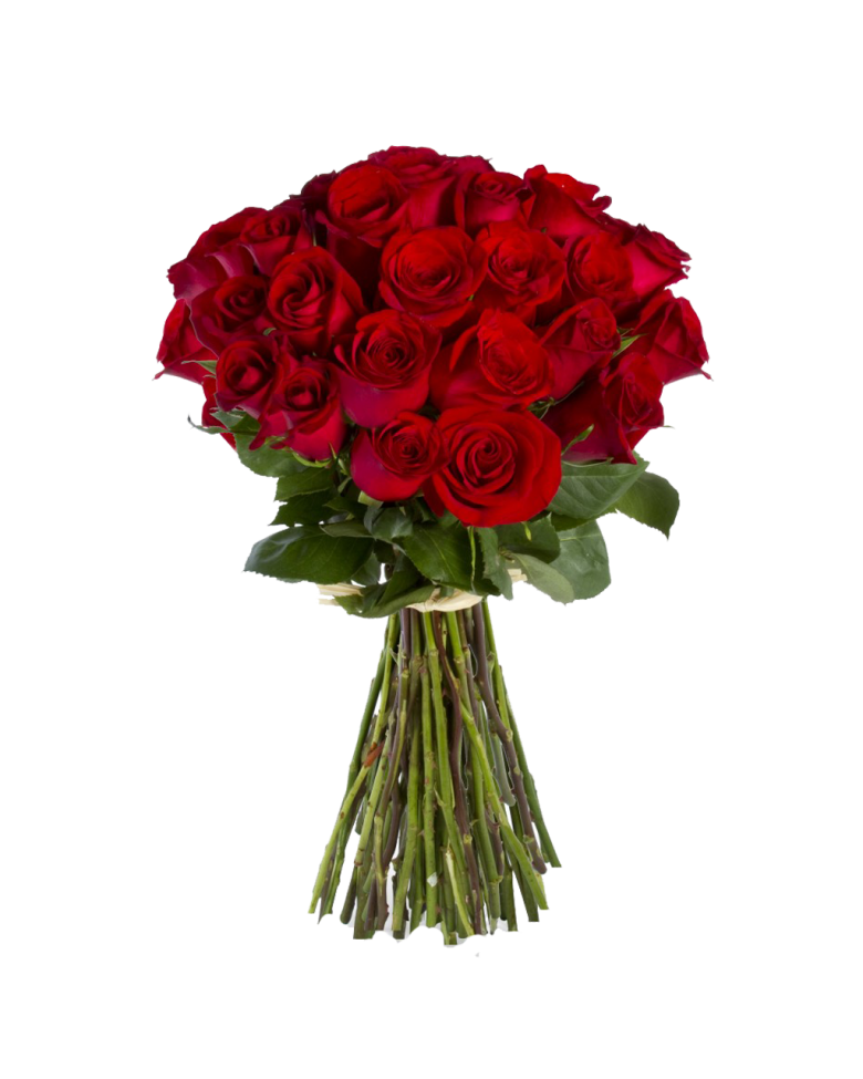 Rose Bunch Transparent PNG Image