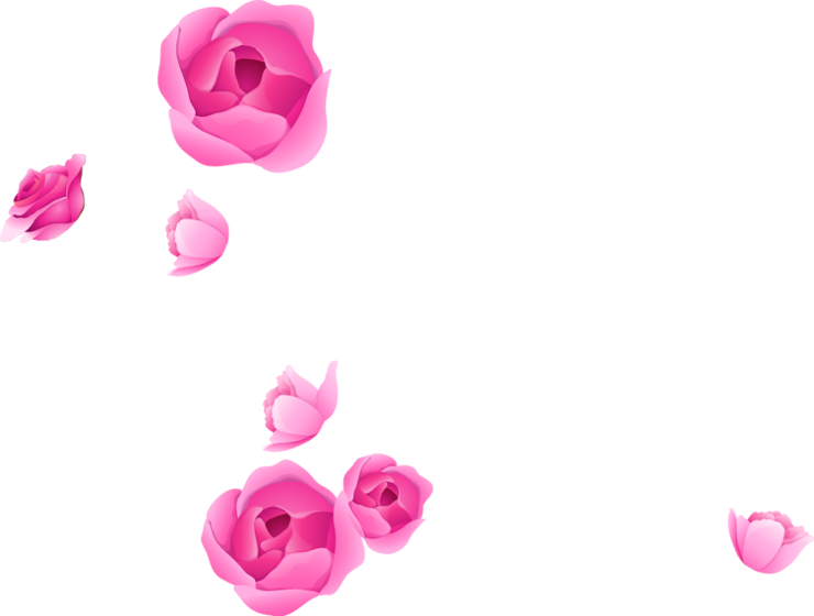hop Flower Adobe Portable Rose Graphics Border Transparent PNG Image