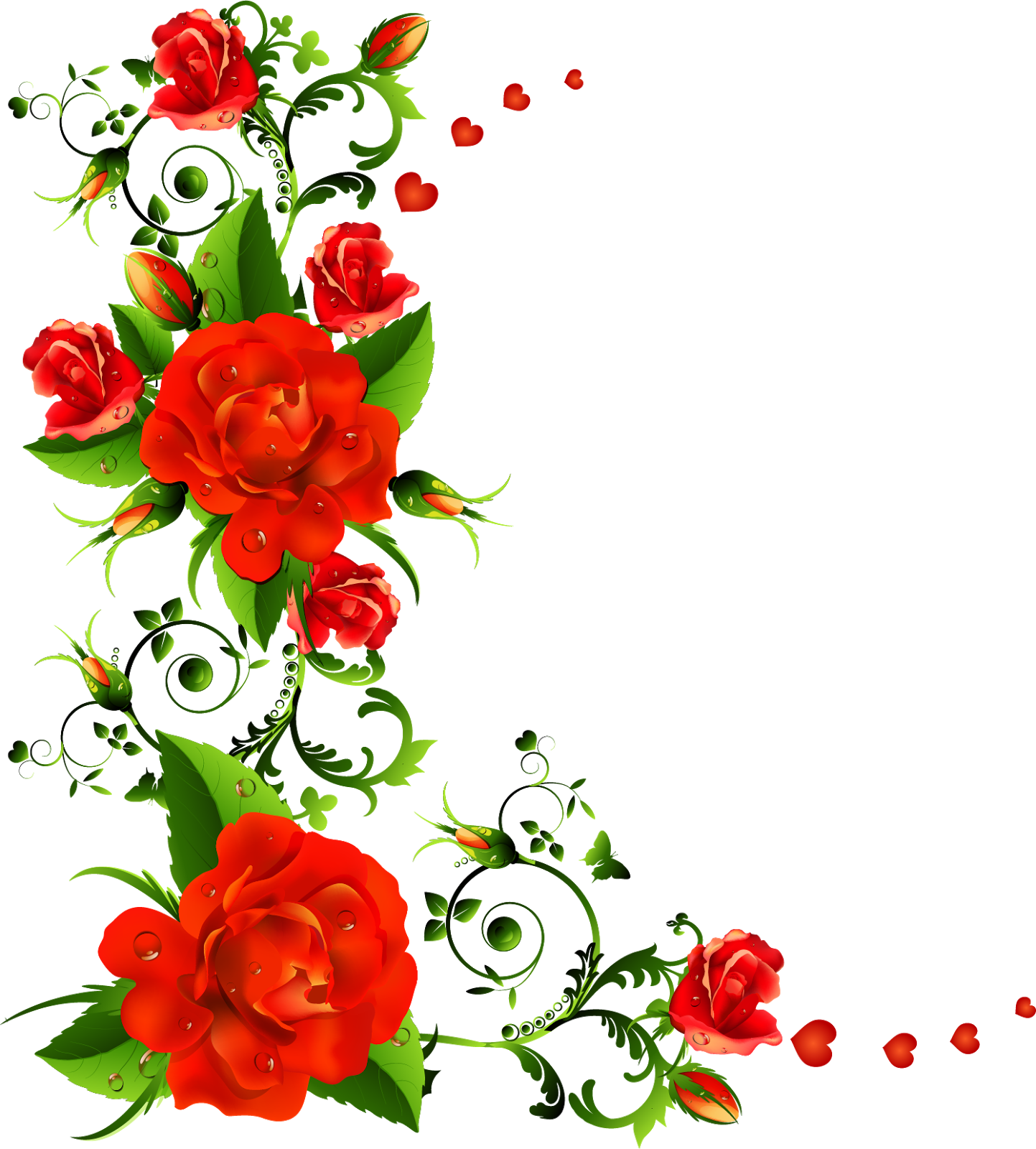 Rose Flower Border Transparent PNG Image