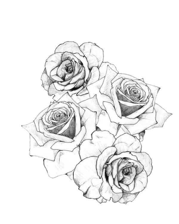 Tattoo Flash Rose Artist Transparent PNG Image