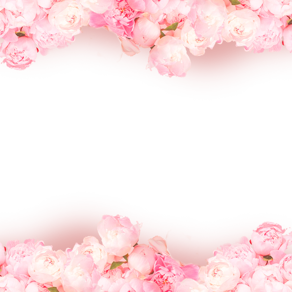 Pink Rose Flowers Heart Transparent PNG Image
