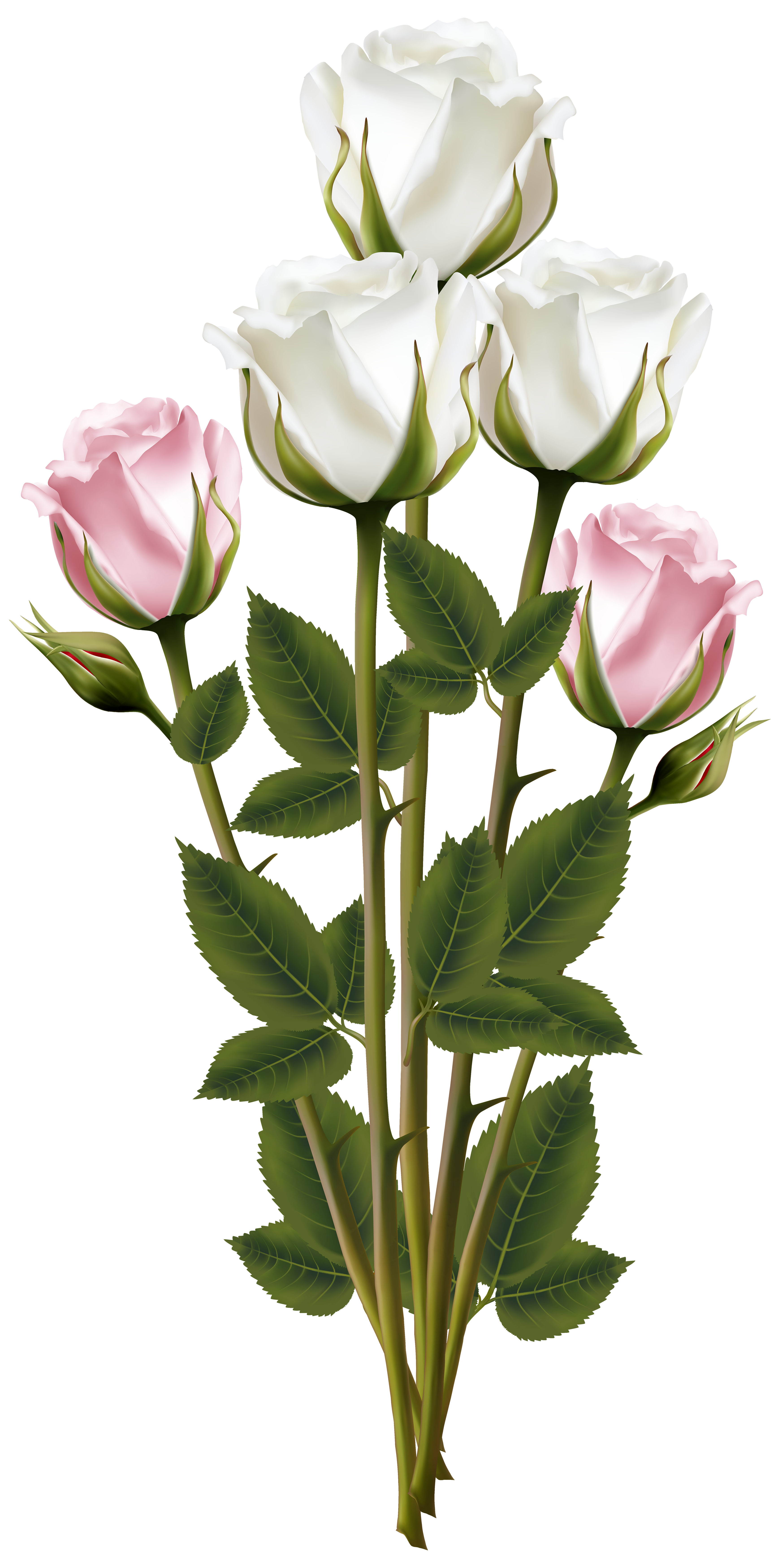 Bouquet Rose Pink Flower Plant Transparent PNG Image