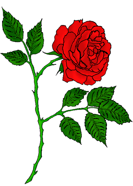 Rose Tattoo Transparent PNG Image
