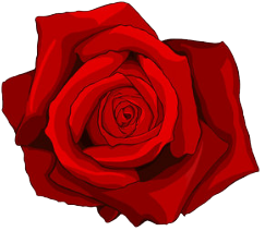 Rose Tattoo Transparent PNG Image