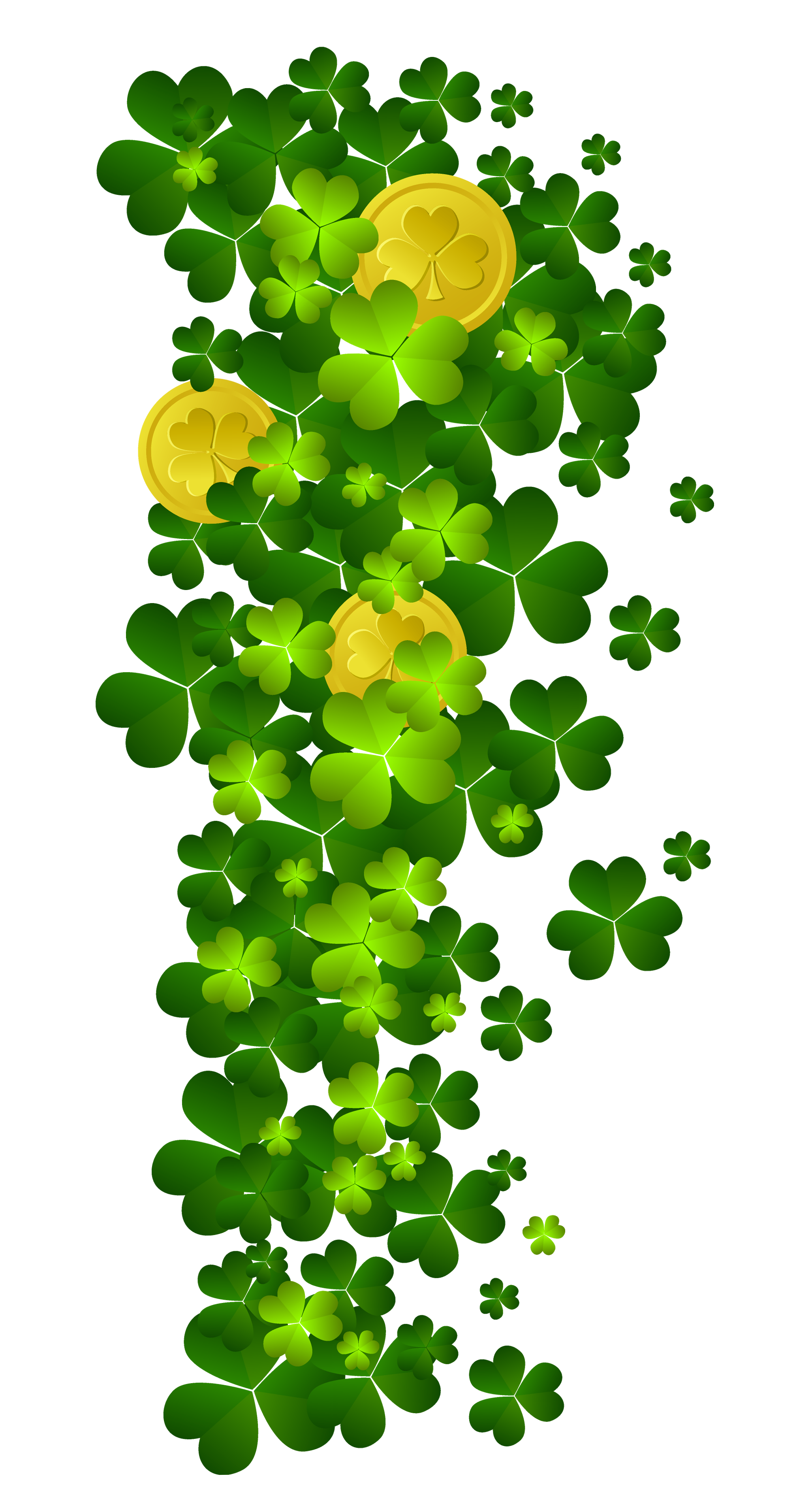 Plant Flora Ireland Patrick Shamrock Saint Day Transparent PNG Image