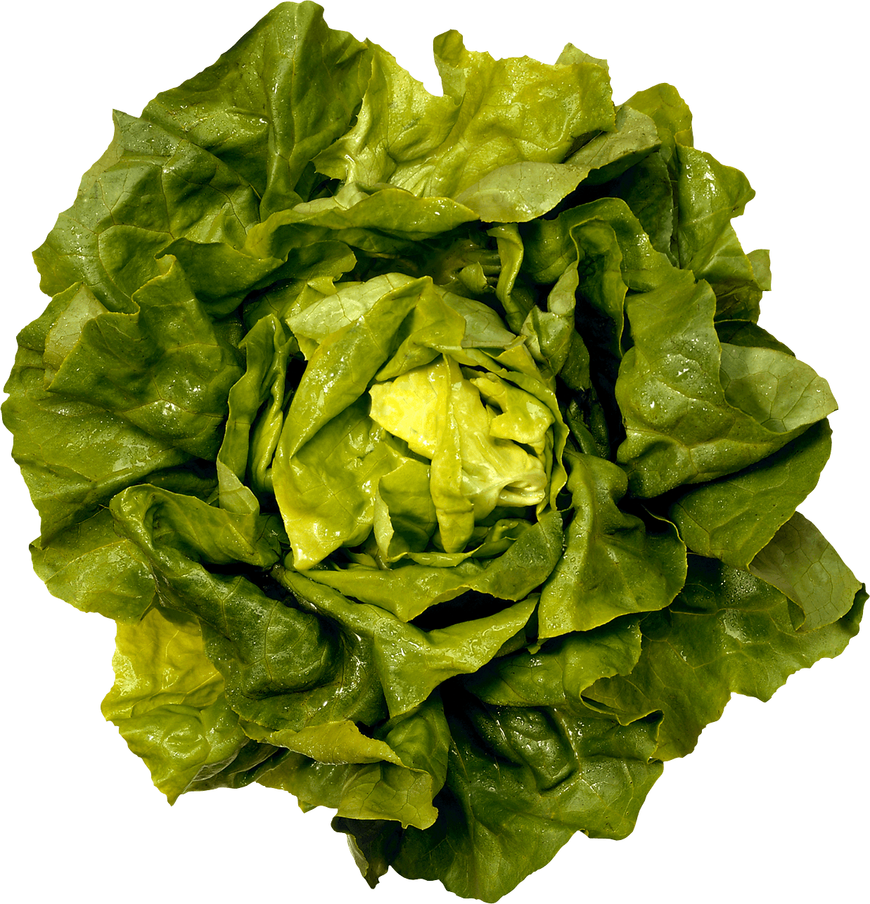 Green Salad Transparent PNG Image